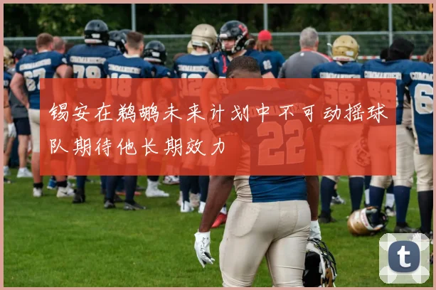 锡安在鹈鹕未来计划中不可动摇球队期待他长期效力
